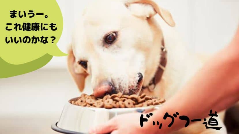 国産安全おすすめドッグフードを比較ランキングするブログ【ドッグフー道】